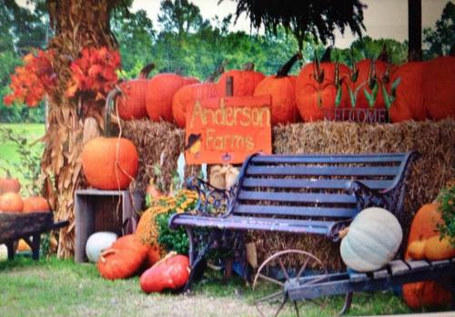 A rustic farm display with pumpkins, hay bales, and a welcome sign at Anderson Farms, featuring a bench for visitors.