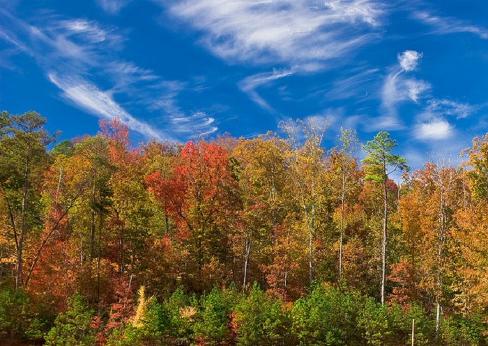 15 Reasons Why Fall Is The Best Time Of The Year In Alabama