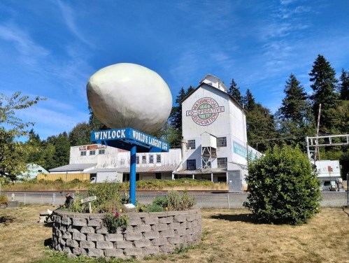 A large egg sculpture in Winlock, Washington, with a historic building and trees in the background under a blue sky.