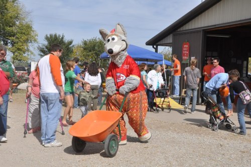 A costumed wolf mascot in a red jersey pushes a wheelbarrow among a crowd at an outdoor event.