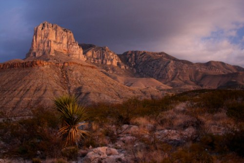 A dramatic mountain landscape at dusk, featuring rugged peaks and a lone yucca plant in the foreground.