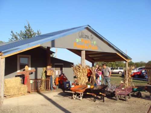 A rustic pumpkin patch entrance with people, hay bales, and wheelbarrows, set against a clear blue sky.