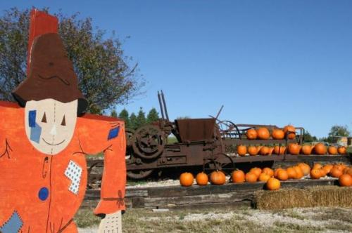 A wooden scarecrow stands in front of an old tractor surrounded by pumpkins on a sunny day.