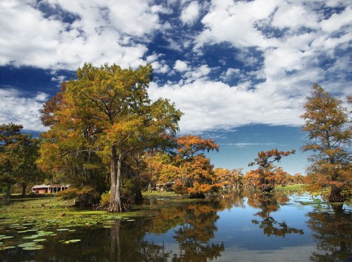 A serene lake surrounded by cypress trees, reflecting clouds and autumn colors in the water.