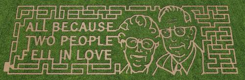 A corn maze design featuring two faces and the text "All because two people fell in love."