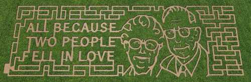 A corn maze design featuring two faces and the text "All because two people fell in love."