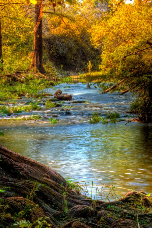 A serene river flows through a vibrant forest, surrounded by golden autumn foliage and lush greenery.