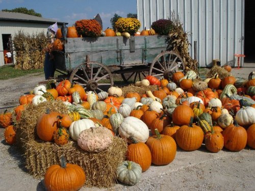 A rustic wagon filled with colorful pumpkins and gourds, surrounded by hay bales and autumn decorations.