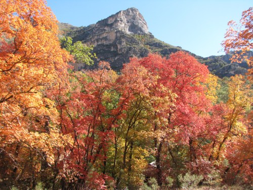 Vibrant autumn foliage in shades of red and orange surrounds a rocky mountain under a clear blue sky.