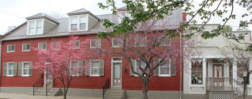 A row of red brick houses with white trim, featuring blooming pink trees in front.