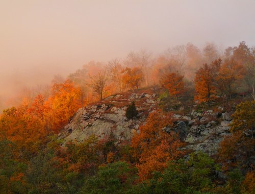 A misty landscape featuring a rocky hillside adorned with vibrant autumn foliage in shades of orange and yellow.