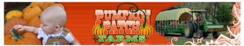 A child touches a pumpkin at a pumpkin patch, with a tractor and hayride in the background. Bright, festive colors.