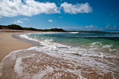 A serene beach scene with gentle waves lapping at the shore under a blue sky with fluffy clouds.