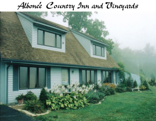 A foggy view of Albonée Country Inn and Vineyards, featuring a two-story building with a garden in front.