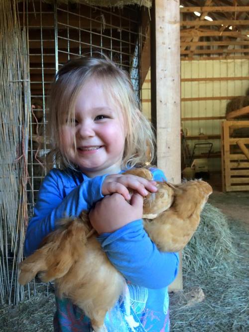 A smiling young girl holds a rabbit in a barn, surrounded by hay and wooden structures.