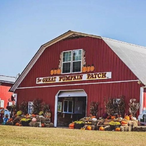 A rustic barn with a sign reading "The Great Pumpkin Patch," surrounded by colorful pumpkins and autumn decorations.