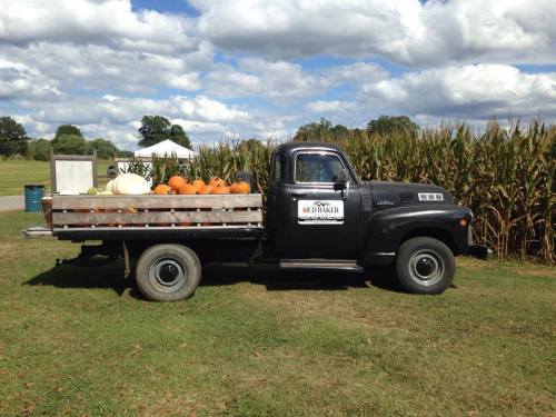 A vintage black truck parked in a field, loaded with pumpkins and a large white pumpkin, with corn stalks in the background.