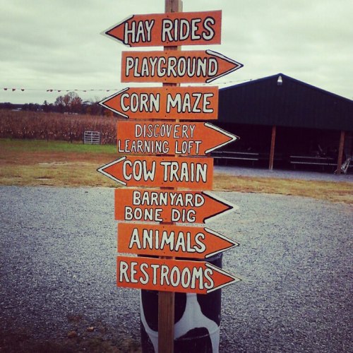 Signpost with directional arrows for hay rides, playground, corn maze, cow train, and restrooms at a farm.
