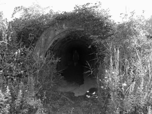 A dark, overgrown tunnel surrounded by tall grass and plants, with a figure faintly visible inside.