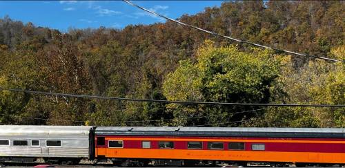 A colorful train car passes by a backdrop of trees with autumn foliage under a clear blue sky.