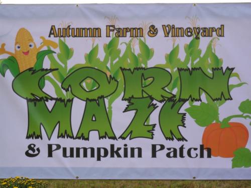 Banner for Autumn Farm & Vineyard featuring "Corn Maze & Pumpkin Patch" with corn and pumpkin graphics.