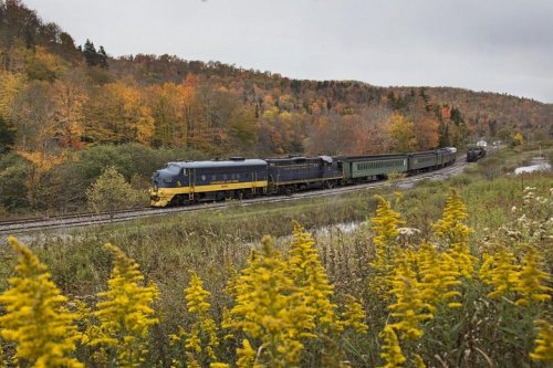 A train travels along a scenic route with autumn foliage and yellow wildflowers in the foreground.