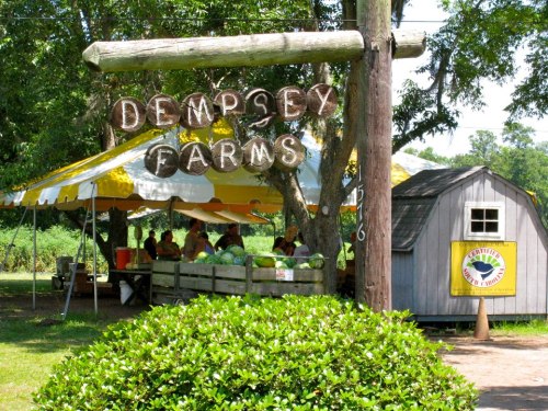 A farm stand with a yellow and white tent, people sitting at tables, and a small shed with a sign for Dempsey Farms.