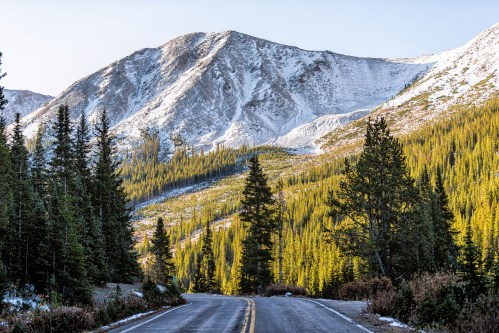A winding road through a forested area, leading to a snow-capped mountain under a clear sky.