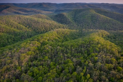Aerial view of lush green hills and dense forests under a clear sky.