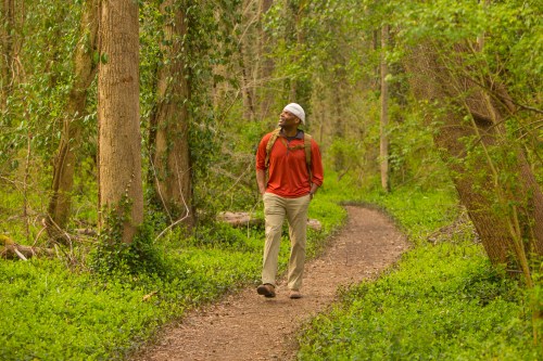 A person walks along a forest path, surrounded by lush greenery and tall trees, enjoying nature.
