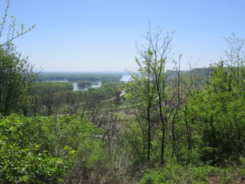 A scenic view of a river surrounded by lush greenery and trees under a clear blue sky.