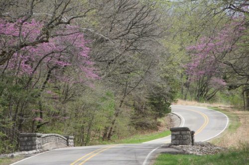 A winding road surrounded by trees with pink blossoms and greenery, leading to a stone bridge.