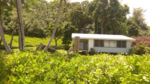 A small house surrounded by lush greenery and palm trees, with a vintage jeep parked nearby.