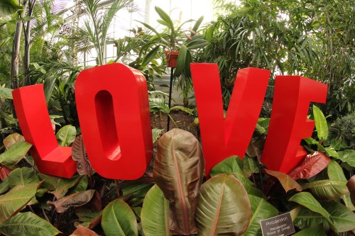 Bright red letters spelling "LOVE" surrounded by lush green plants in a vibrant indoor garden setting.