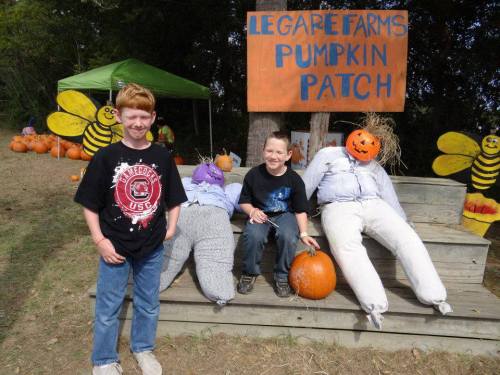 Two boys stand in front of a pumpkin patch, posing with scarecrows and pumpkins, with a sign reading "Legare Farms Pumpkin Patch."