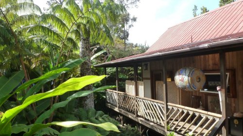 A wooden house with a red roof surrounded by lush green plants and trees in a tropical setting.