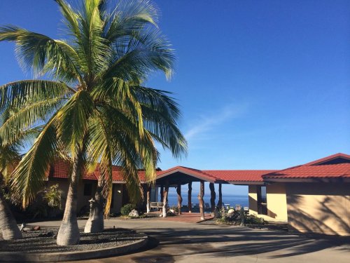 A tropical scene featuring a palm tree and a modern house with a red roof, overlooking a clear blue sky and ocean.