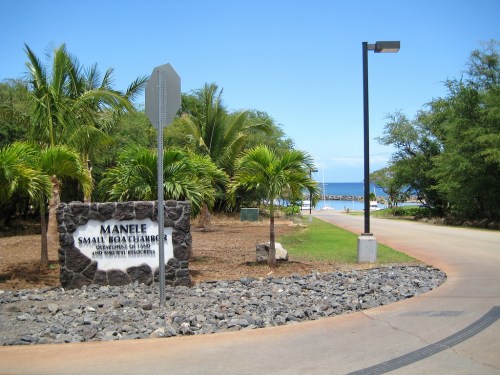 Sign for Manele Small Boat Harbor, surrounded by palm trees and a view of the ocean in the background.