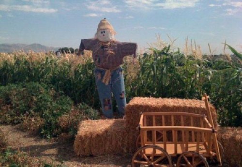 A scarecrow stands in a cornfield beside a wooden cart and hay bales under a clear blue sky.