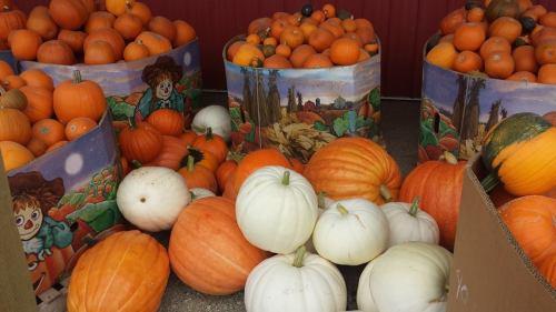 Baskets filled with various pumpkins, including orange and white, set against a colorful autumn-themed backdrop.