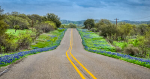 A winding road stretches through a landscape of green fields and blue wildflowers under a cloudy sky.