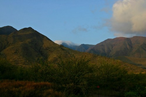 A scenic view of rolling mountains under a blue sky with wispy clouds and lush greenery in the foreground.