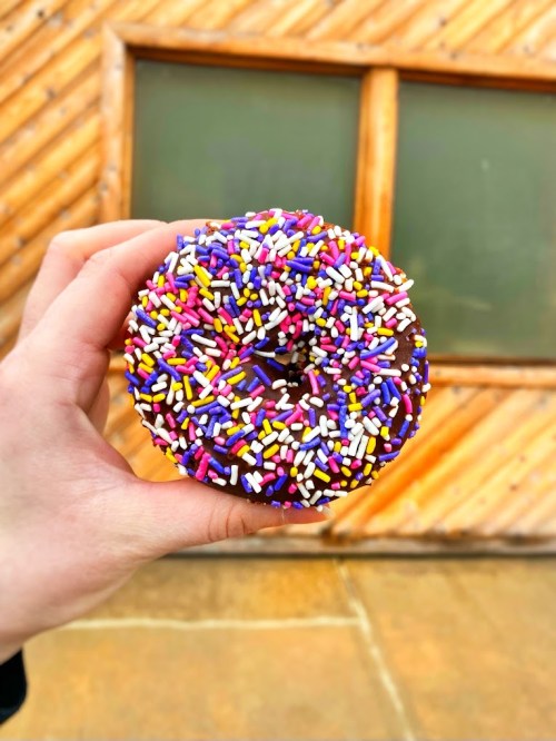 A hand holds a chocolate donut topped with colorful sprinkles against a wooden background.