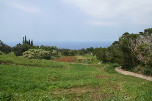 A scenic landscape featuring green fields, cultivated rows, and a distant view of the ocean under a cloudy sky.