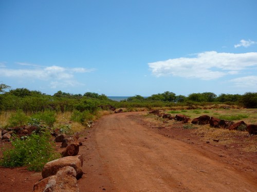 A dirt road leads through green vegetation towards the ocean under a clear blue sky with scattered clouds.