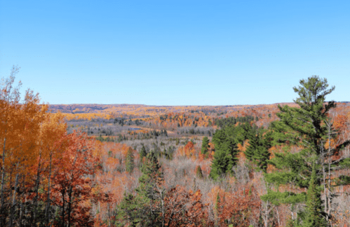 A vibrant autumn landscape with colorful trees and a clear blue sky, showcasing a scenic view of rolling hills.