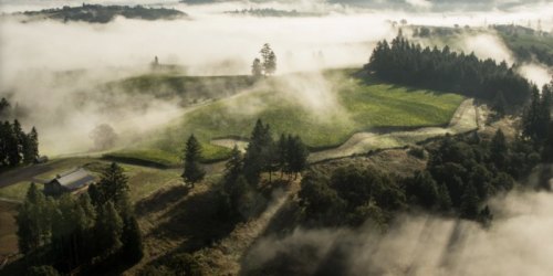 Aerial view of a misty landscape with rolling hills, trees, and a small building, bathed in soft sunlight.