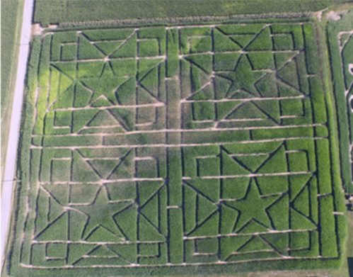 Aerial view of a large corn maze featuring star-shaped patterns and pathways in a green field.