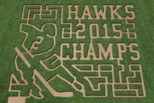 A grassy maze design featuring a hockey player and the text "HAWKS 2015 CHAMPS."