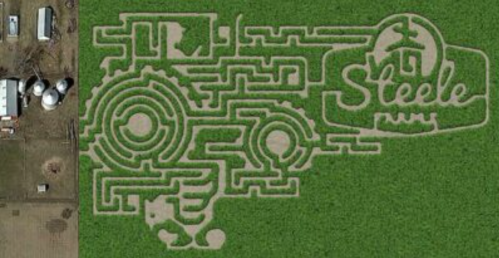 Aerial view of a corn maze featuring intricate paths and the word "Steele" carved into the design.